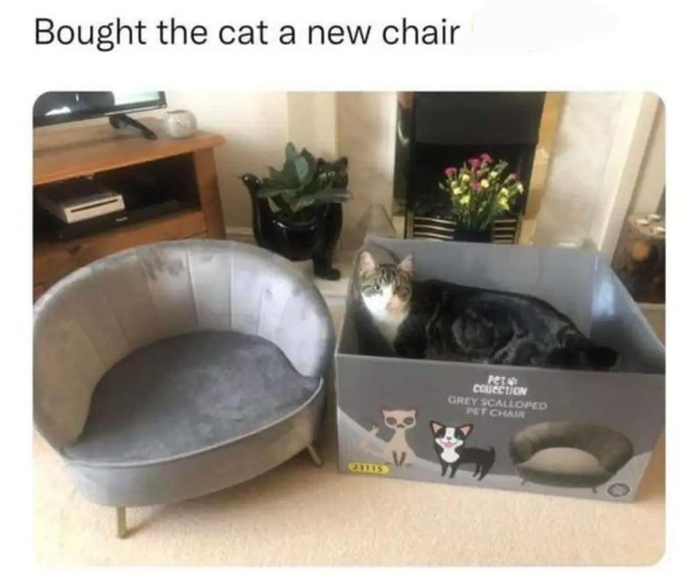 The image depicts a scene in a living room with two main elements: a gray velvet chair and a cardboard box. The chair is on the left, featuring a semi-circular design with a soft, plush appearance. Next to it, on the right, is a large cardboard box with a cat sitting contentedly inside. The box has images of a cartoon cat and dog on the front, as well as a photograph of the same chair, indicating it was the chair's packaging. In the background, there is a wooden television stand with a TV and a plant on top, as well as some decorative flowers and a fireplace.

Transcribed Text:

Bought the cat a new chair PET COLLECTION GREY SCALLOPED PET CHAIR