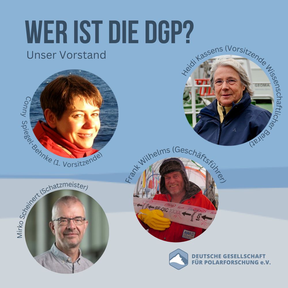 Vier Profilfotos der Vorstandsmitglieder_innen
