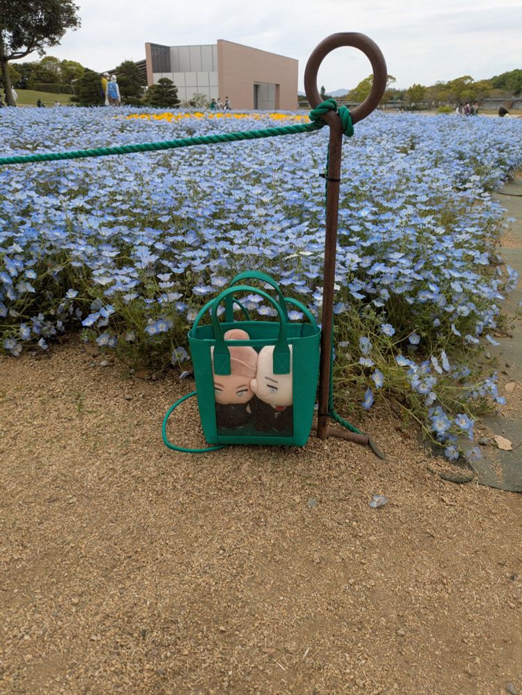 ネモフィラ畑とぬいぐるみ達の写真