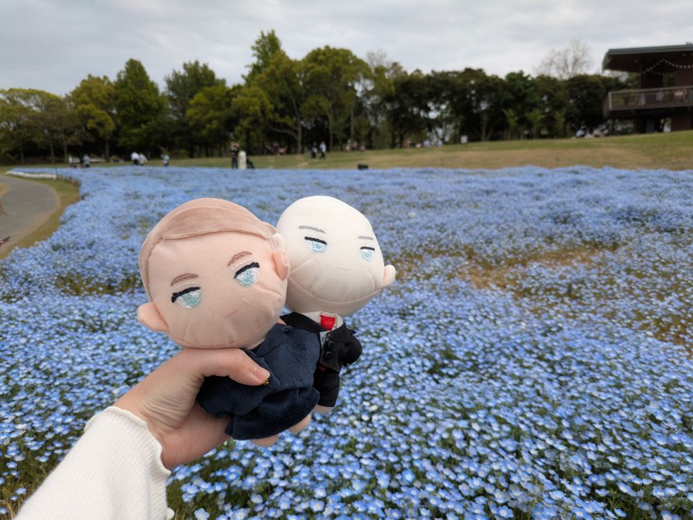 ぬいぐるみ達にネモフィラ畑を見せる私の写真