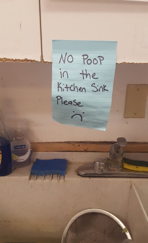 A large blue post-it note is stuck to the cabinet over a rather dirty-looking sink. The note says, "No poop in the kitchen sink please", followed by a frown emoji.