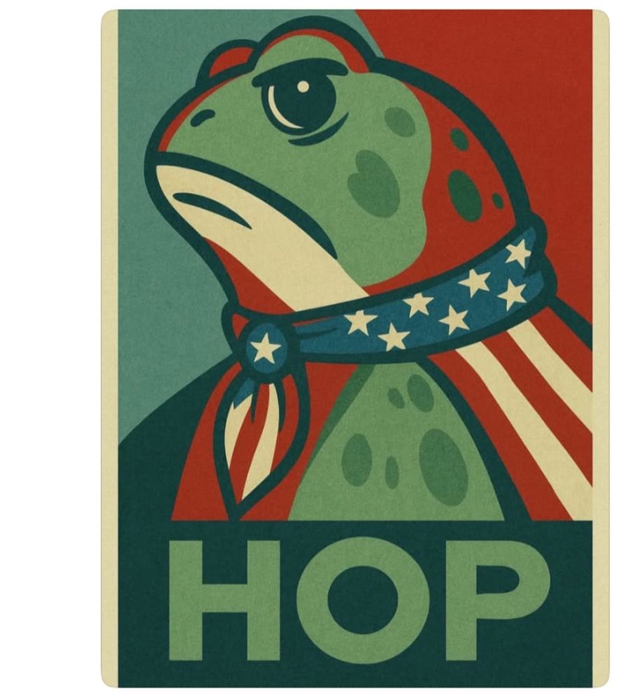 Frowning frog wearing American flag cape and American flag bandana; image in the style of Shepard Fairey's Obama poster; with the caption "HOP".