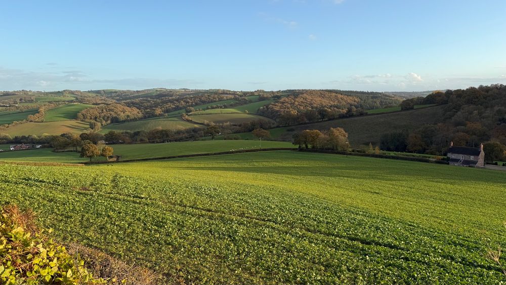 The golden hour view across fields.