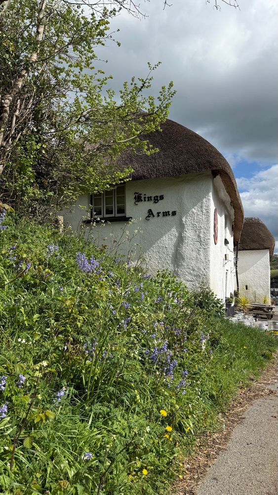 The Kings Arms, South Zeal, with bluebells.