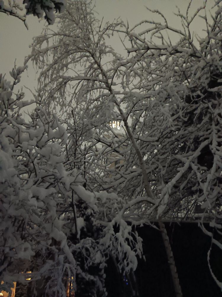 Verschneiten Garten. 