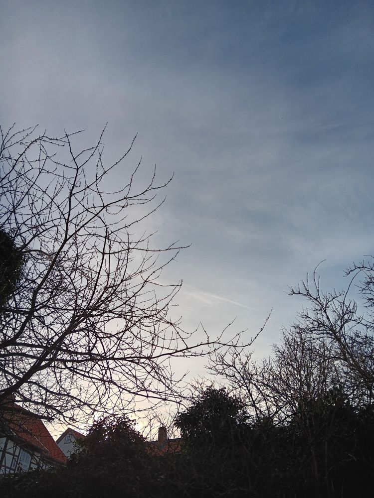 Taubenblauer Himmel,Wolken ,kahle Bäume und ein paar Hausdächer.
