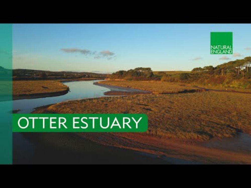 Otter Estuary – Where nature returns…