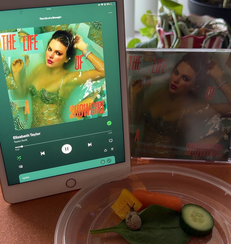 iPad propped up playing the song Elizabeth Taylor, cd of the life of a showgirl also propped up on the background 

Snail on a piece of spinach surrounded by a bell pepper piece, a baby carrot, and a slice of cucumber