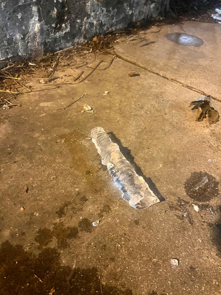 A large phallic piece of an icicle that has broke off and fallen to the ground