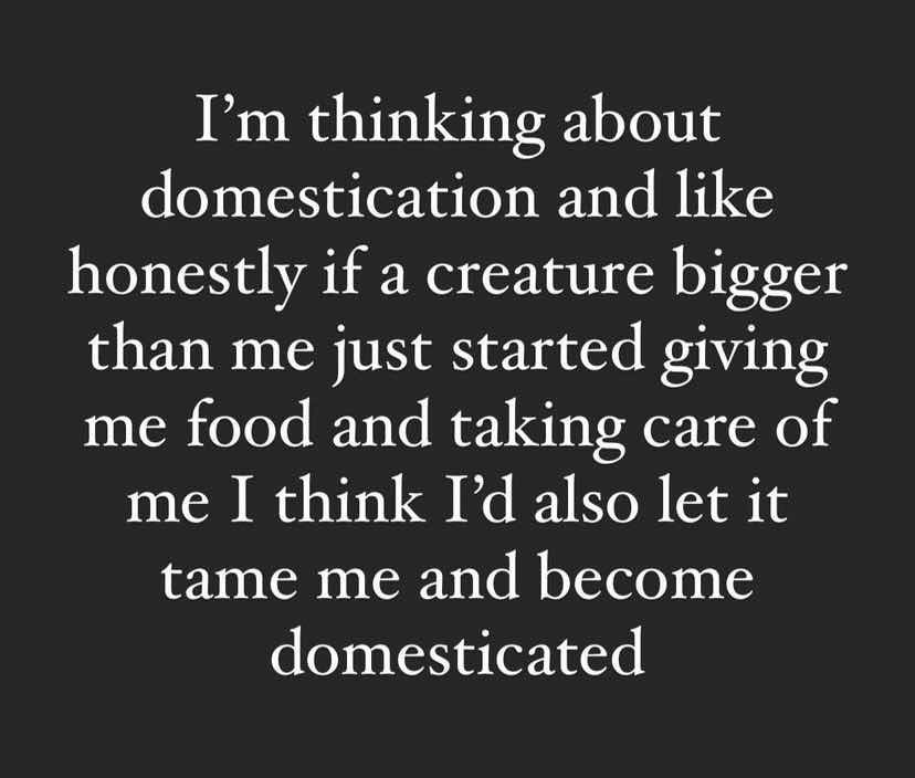 I’m thinking about domestication and like honestly if a creature bigger than me just started giving me food and taking care of me I think I’d also let it take me and become domesticated