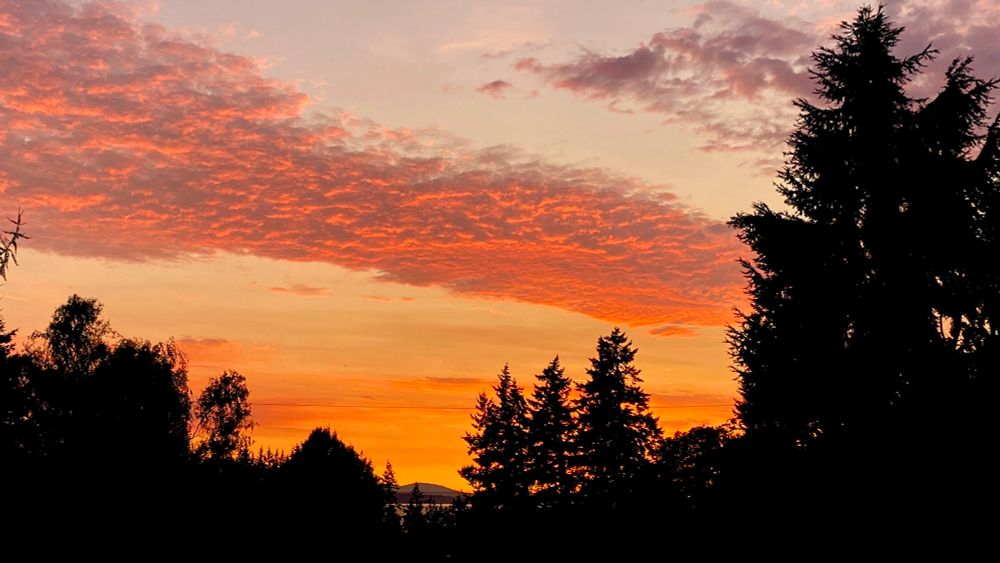 Tonight’s PNW sunset north of Seattle 