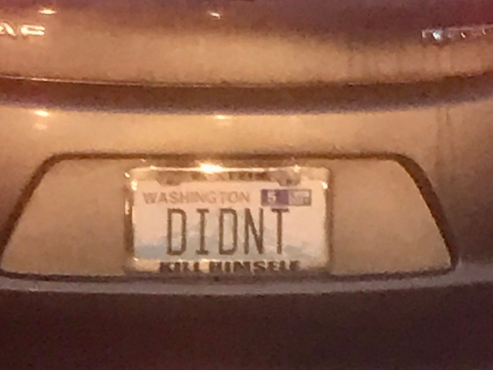 A custom Washington state license plate that says DIDNT in a frame that says EPSTEIN on top of the plate and KILL HIMSELF on the bottom. 