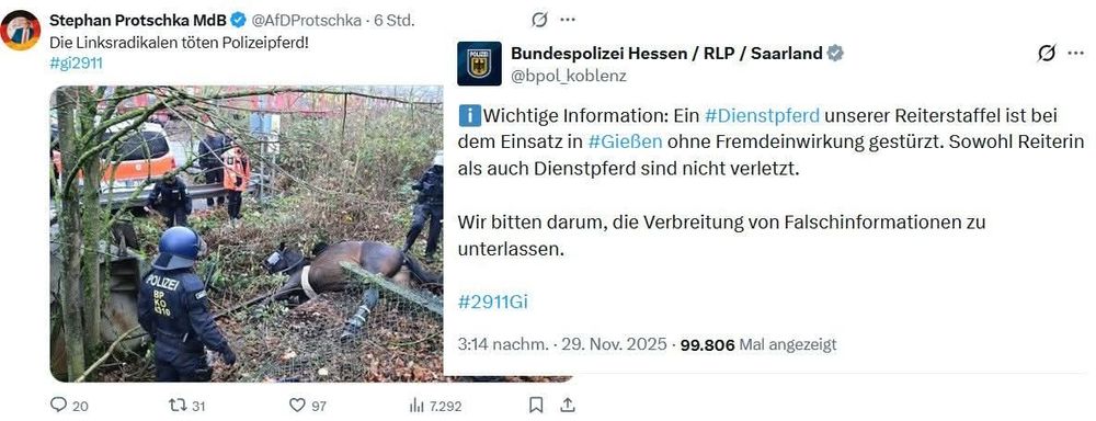 Ein Pferd auf dem Boden. 