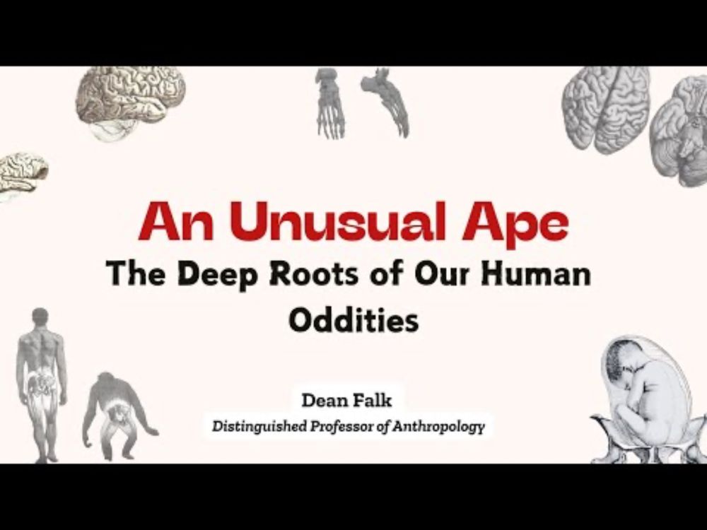 An Unusual Ape: The Deep Roots of Our Human Oddities (Origins of Humankind #2)