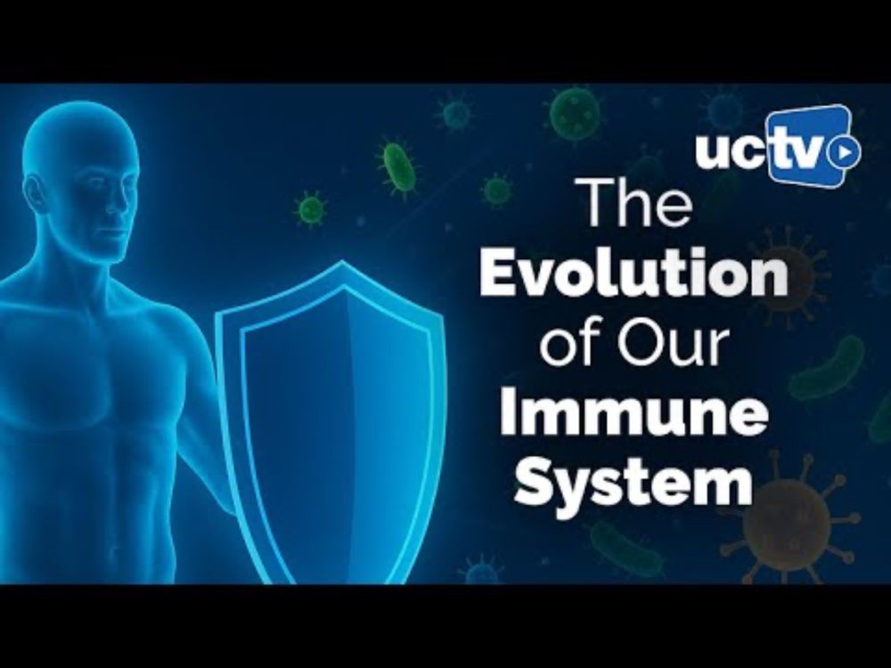 CARTA: The Evolution of Powerful Yet Perilous Immune Systems