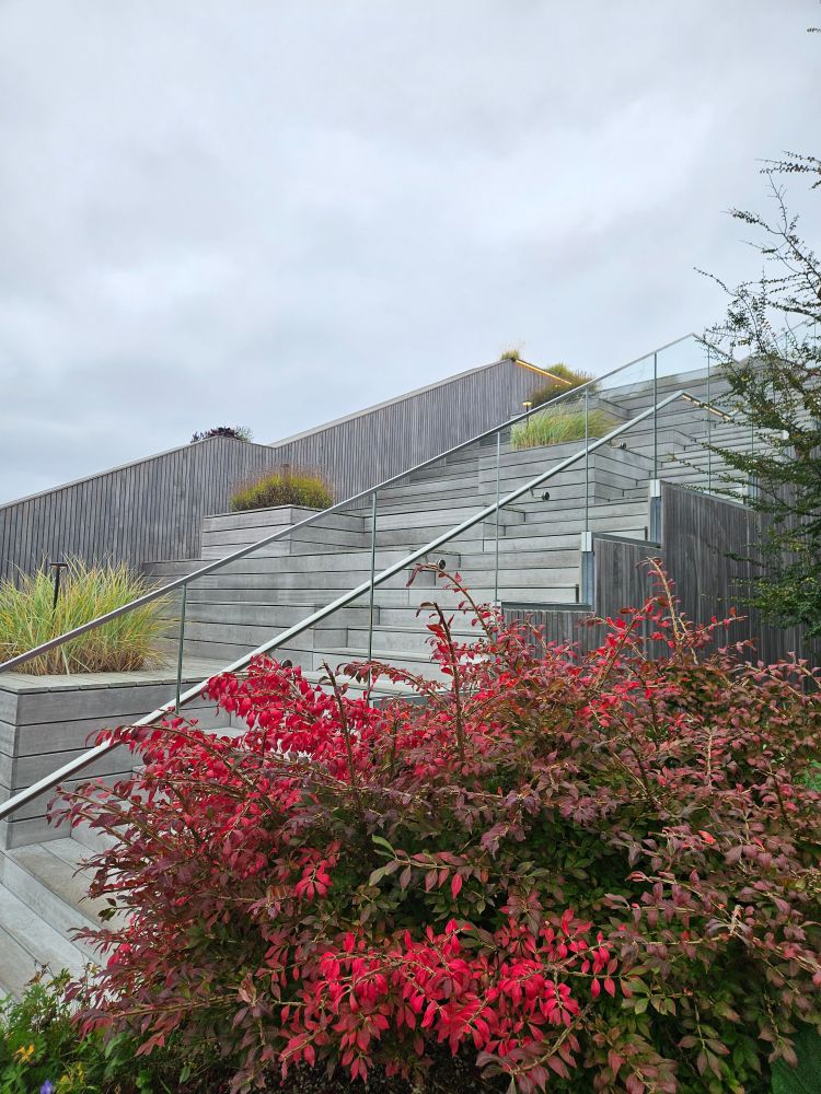 Treppenanlage einer öffentlichen Dachterasse in Aarhus. Viel Holz und Bepflanzung.