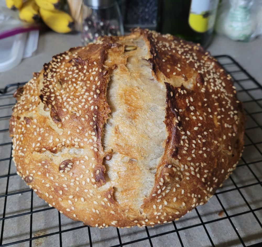 A fresh round of seedy sourdough bread covered in sesame seeds