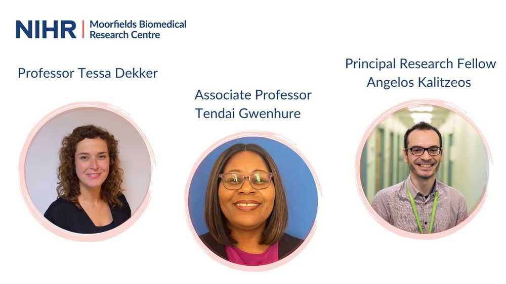 The image shows three individuals associated with the NIHR Moorfields Biomedical Research Centre. From left to right, they are Professor Tessa Dekker, Associate Professor Tendai Gwenhure, and Principal Research Fellow Angelos Kalitzeos. Each person's face is obscured by a rectangular block.