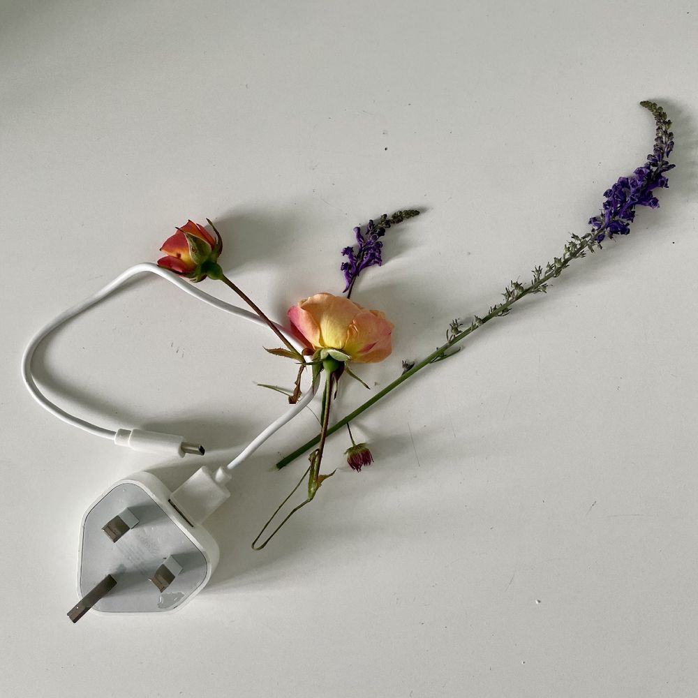A lavender sprig and small orange-red rose heads entwined with a white digital device charger cable and plug on a white surface with subtle shadows
