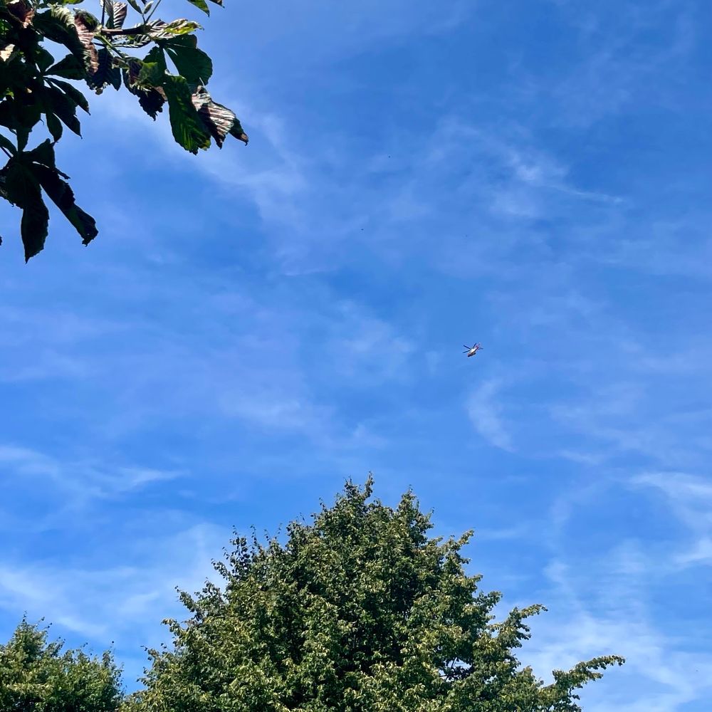 A clear blue sky with a few clouds and a red and white helicopter flying above treetops.