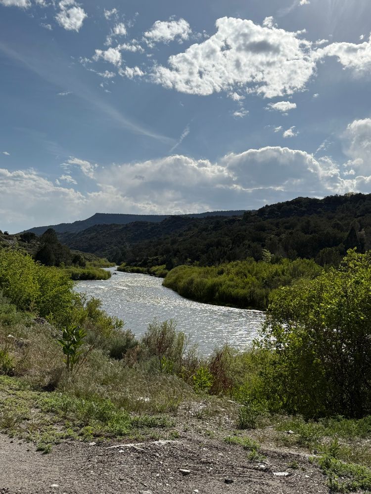 The Rio Grande River in Pilar, NM with trees and bushes on both sides