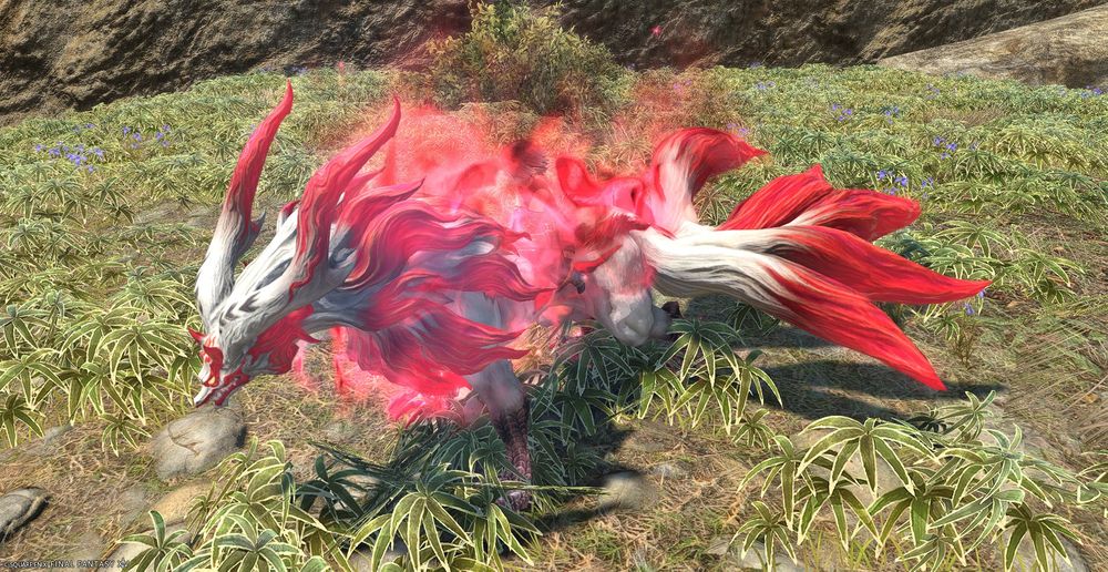 Luna riding the nine tailed fox mount. not that you can tell. the flames completely engulf them 