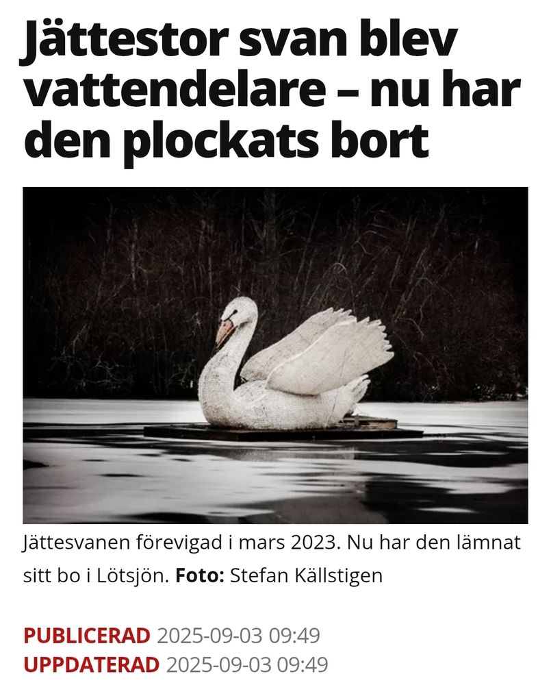 Skärmdump från lokaltidningen Mitt i om att ett konstverk föreställande en stor svan har plockats bort från Lötsjön i Sundbyberg. Rubriken lyder: "Jättestor svan blev vattendelare – nu har den plockats bort"
