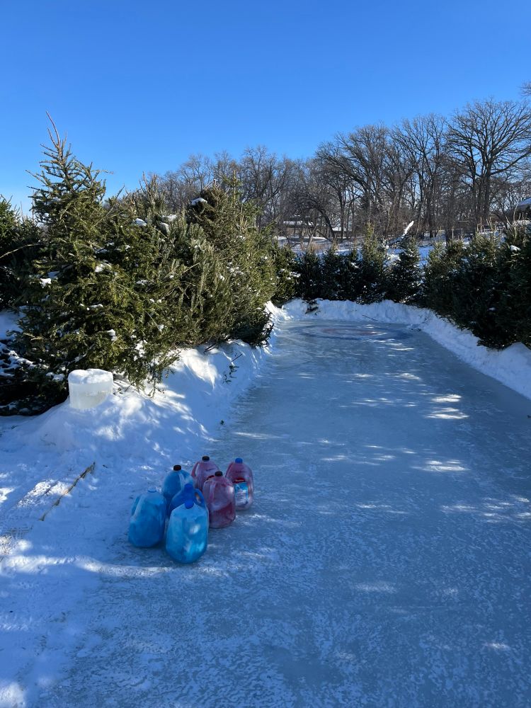 A photo of an outdoor curling rink, surrounded by old Christmas trees, with frozen red and blue milk jugs as curling stones