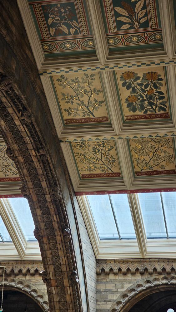 Golden illustrated ceiling panels depicting various plants and flowers.