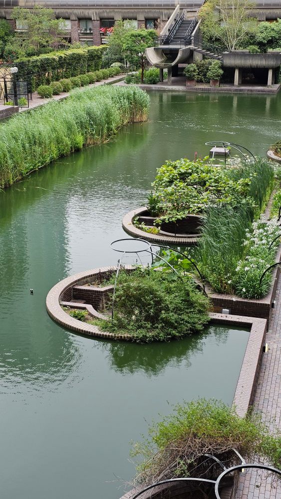 Sunken round seating areas with greenery built into channels in the pool.