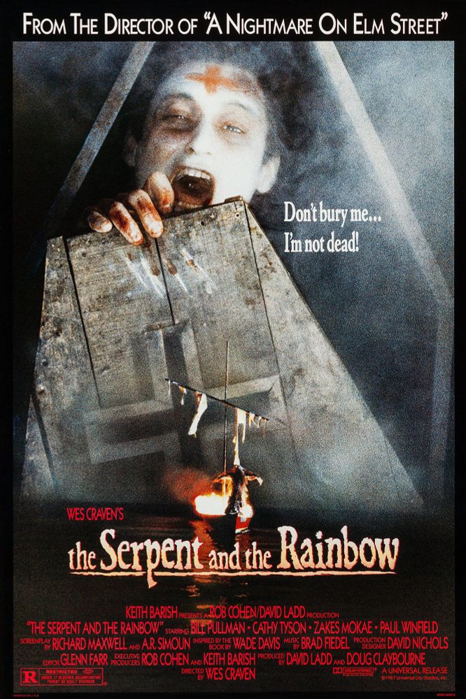 The Serpent and the Rainbow Poster 