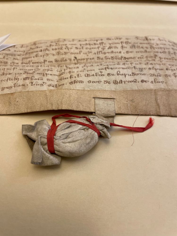 Medieval document with seal attached to bottom of document by a parchment strip, fully covered by a piece of cloth tied at top and bottom with red ribbon 