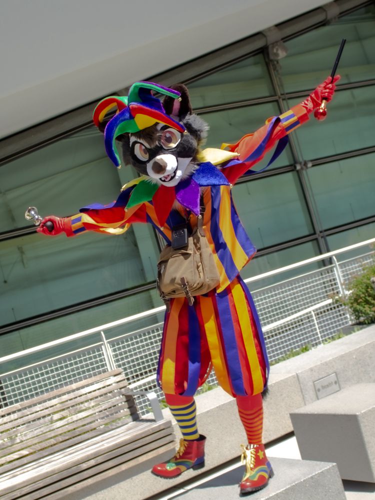 The same raccoon now standing on the stone block and arms outstretched 