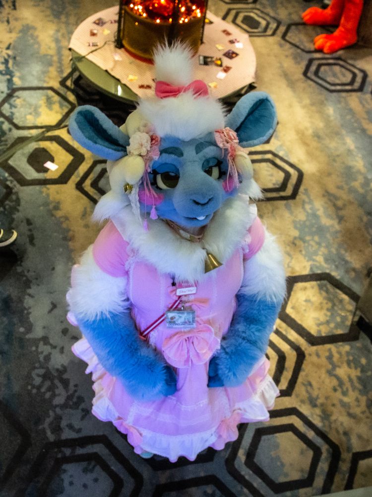 A sheep fursuit looking up at the viewer.