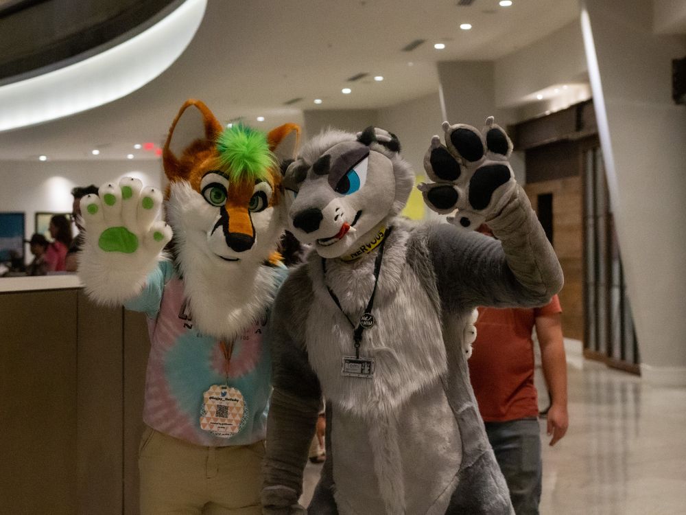 An otter and a fusky fursuit waving at the camera