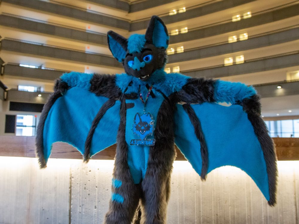 A photo of a bat fursuiter with wings spread