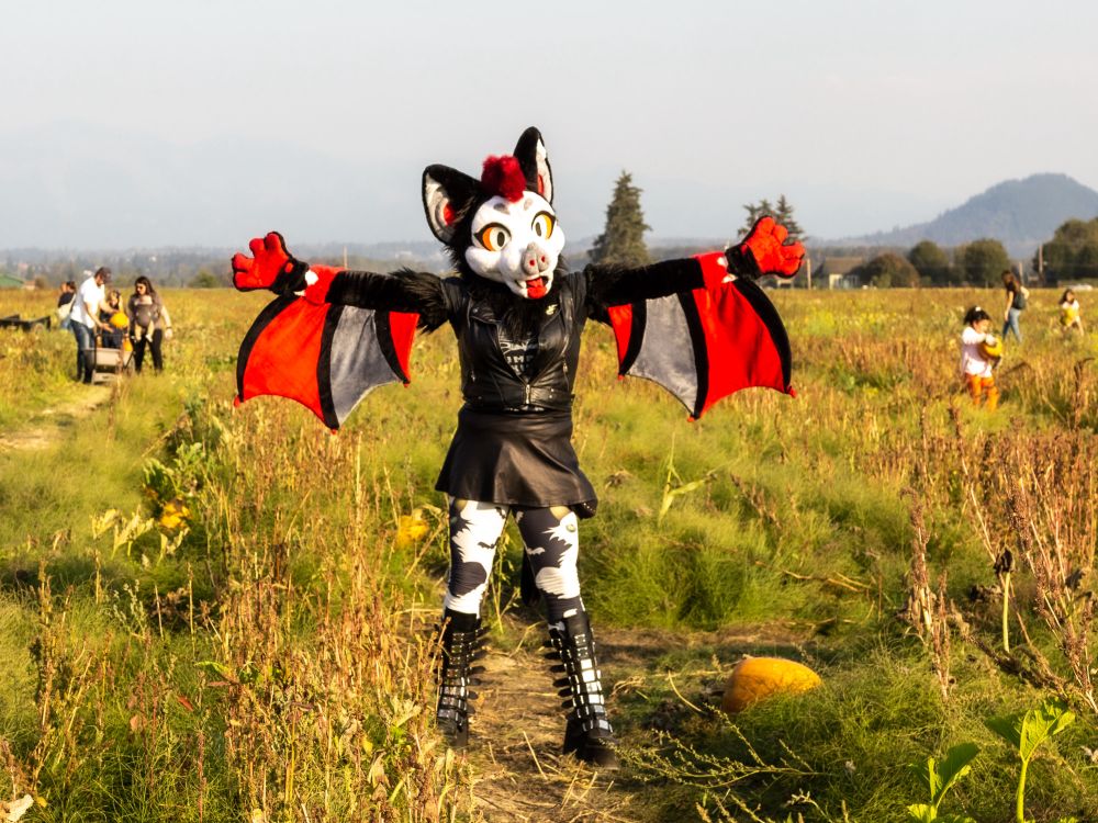 Another photo of the bat with arms spread