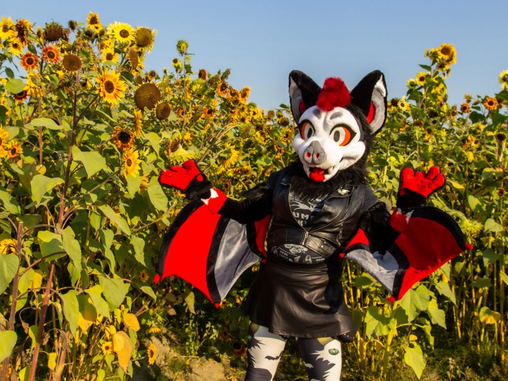 A photo of the bat pulled back a bit