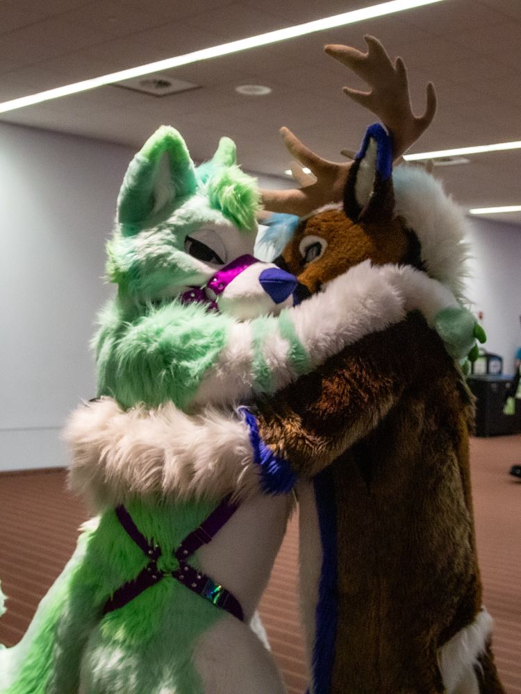 A husky and caribou fursuits holding each other.
