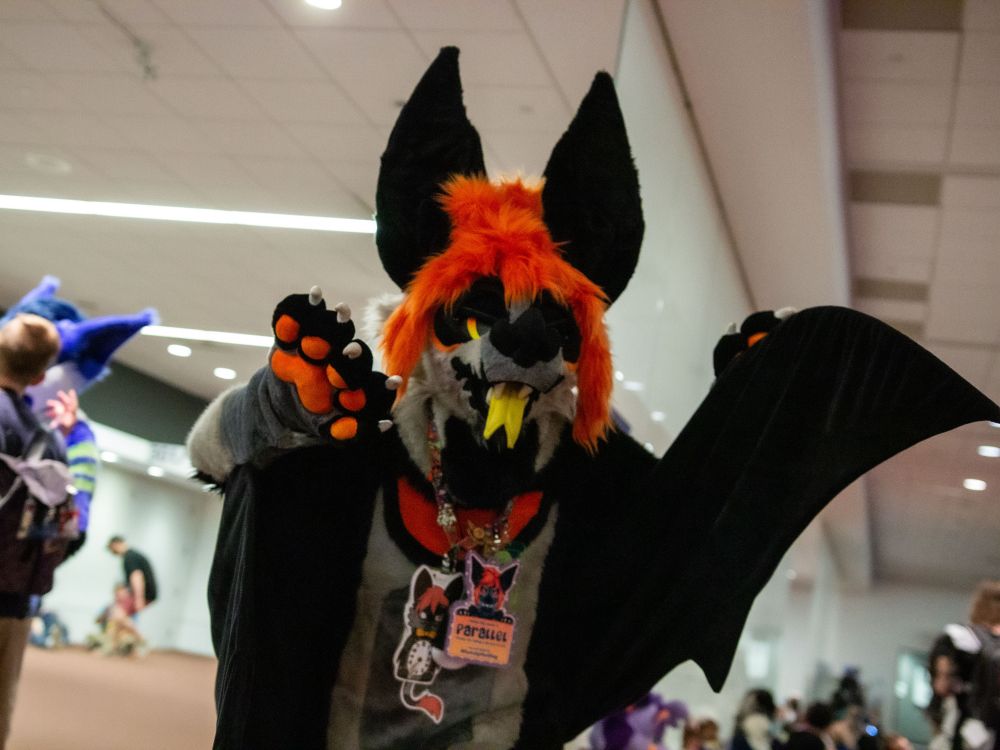 A bat fursuit holding up their wings with tongue out