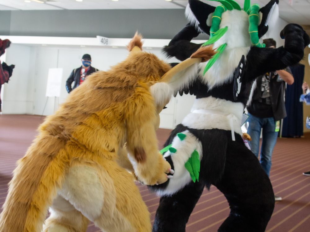 A fursuiter pulling another's tail