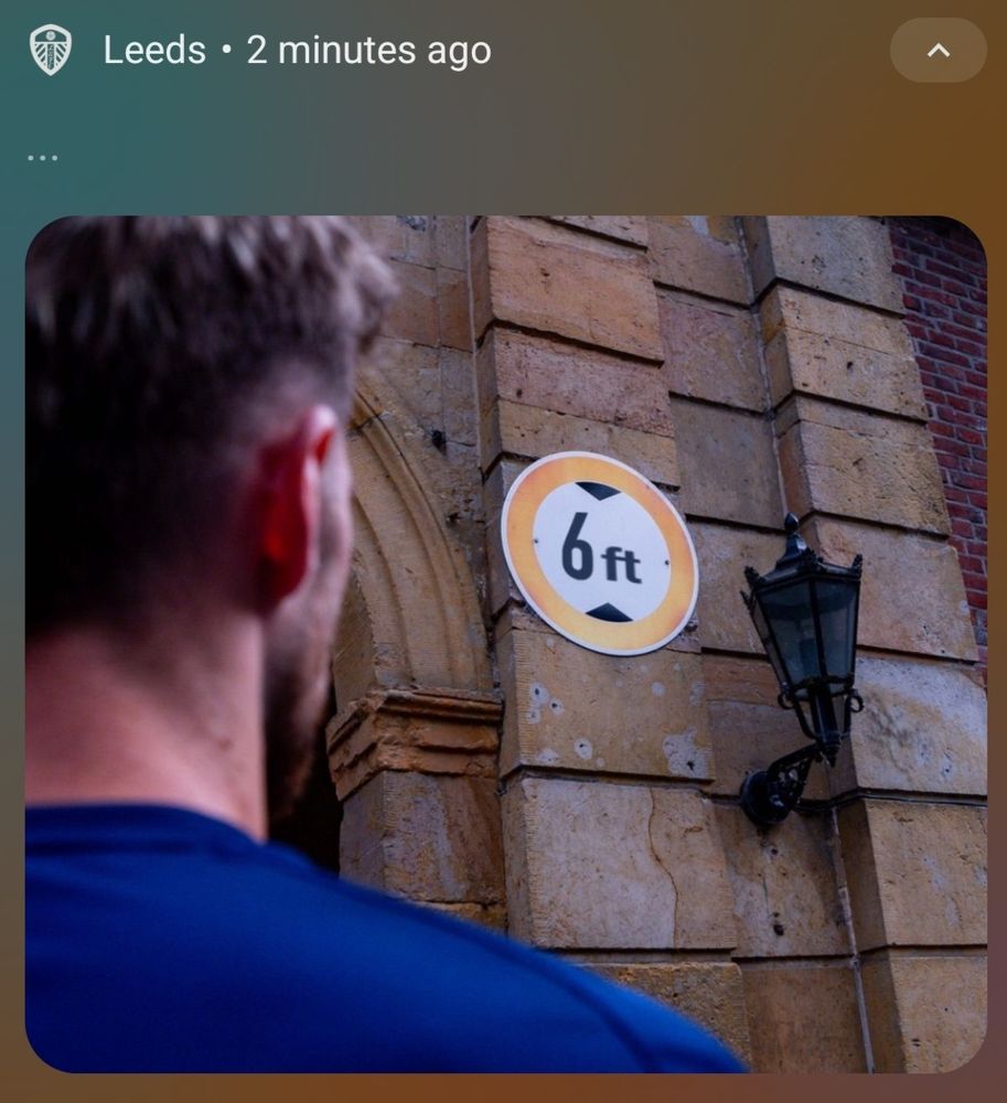 The rear of a players head looking at a 6ft sign