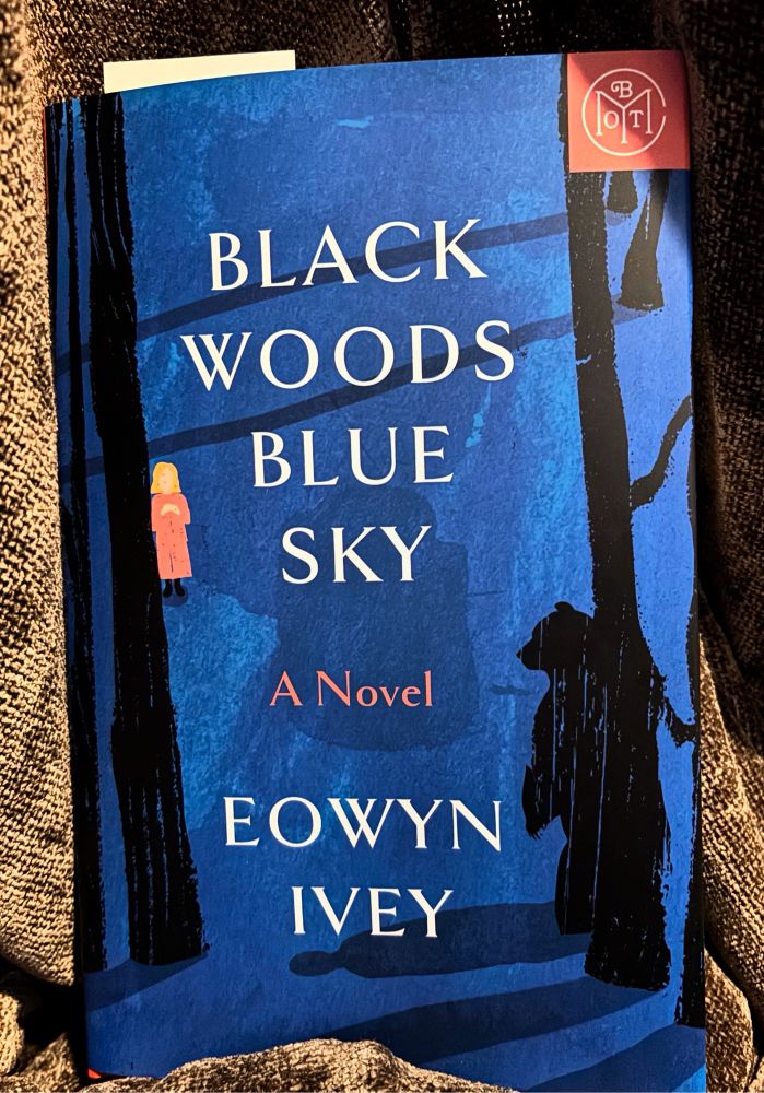 A blue book on a brown blanket. The book cover has an illustration showing a little girl and a black bear in a wood. The title is Black Woods Blue Sky by Eowyn Ivey. 