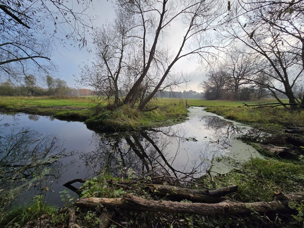 The Tegeler Fließ, near Lübars