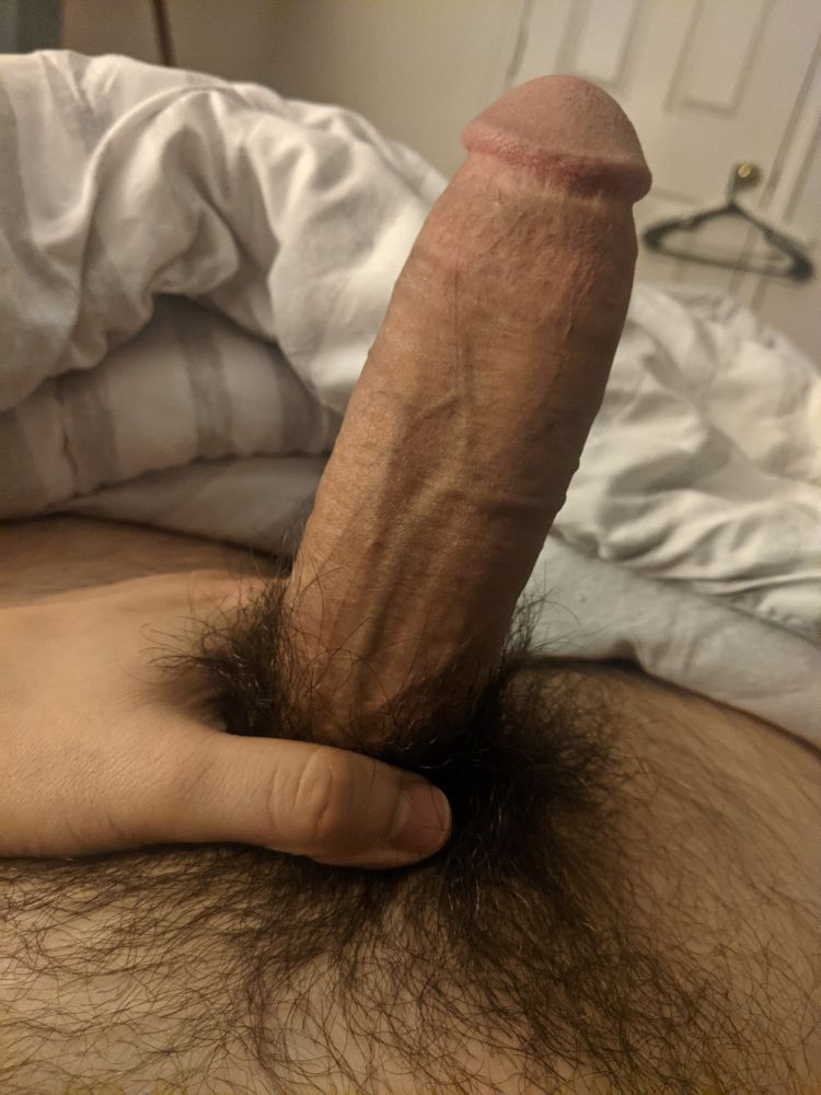 Erect cock