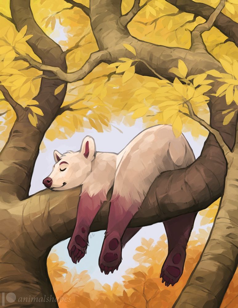 A bear snoozing contentedly on a sun-dappled branch, surrounded by fall colors. Digital (Photoshop CC); oil brushes. 2023.