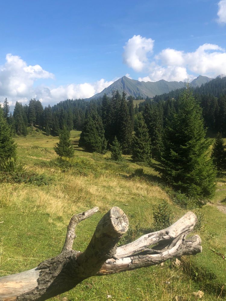 Looking to the Pic Chaussy