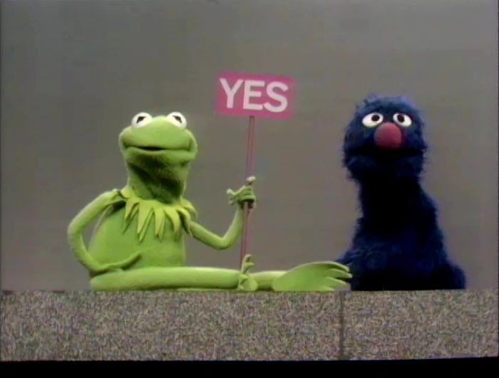 a screenshot of kermit holding up a sign that reads "YES"