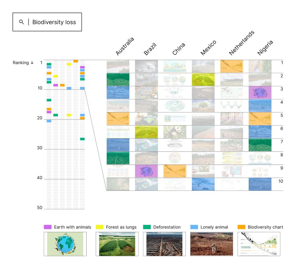 Data visualisation showing Google Images search results for biodiversity loss in Australia, Brazil, China, Mexico, Netherlands and Nigeria. As with climate change, some images appear multiple times across different countries, such as scientific charts and 'lonely animal', but there is slightly more diversity than for climate change
