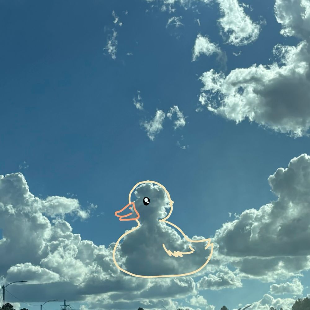 photo of clouds in the sky with a duck outline on them 